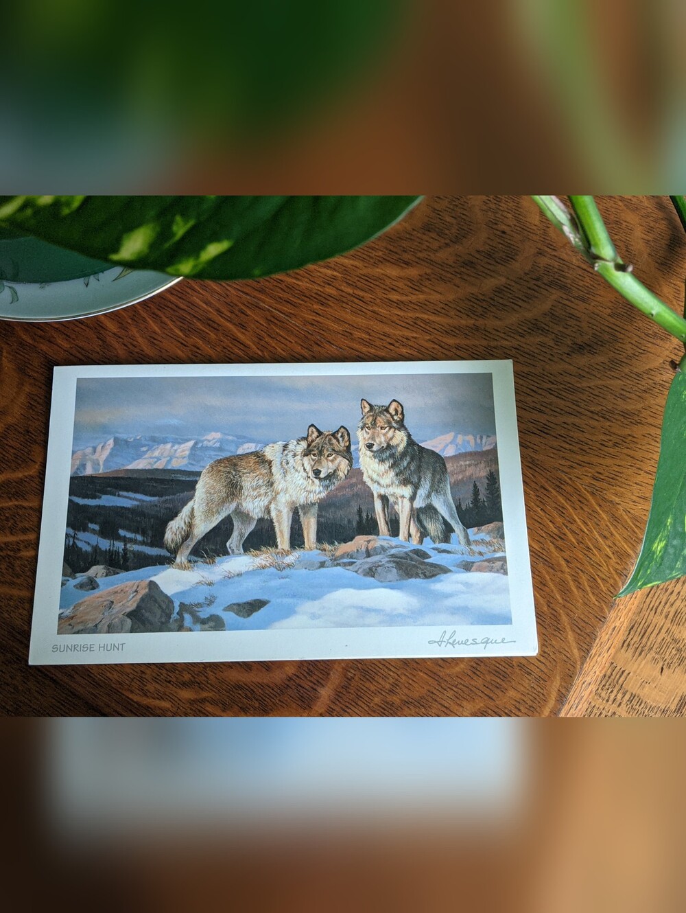 "Sunrise Hunt" Wolves By Isabel Levesque (Alberta) Frameable Art Card 9"x5.5"